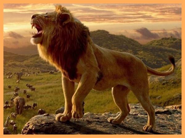 Mơ thấy sư tử đánh con gì?