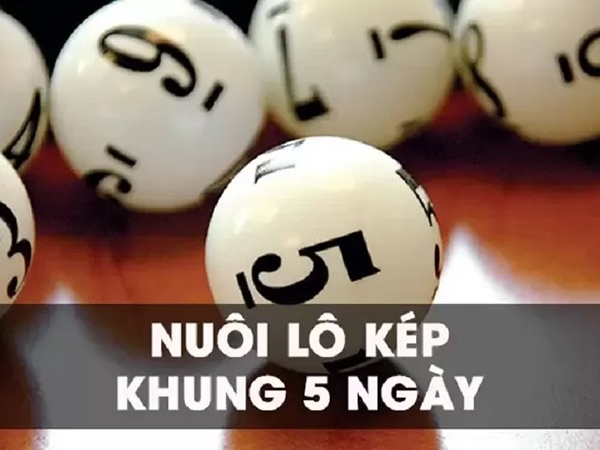 Lô kép khung 5 ngày là gì? Bí quyết nuôi số bất bại nhất Lô kép khung 5 ngày là gì? Bí quyết nuôi số bất bại nhất