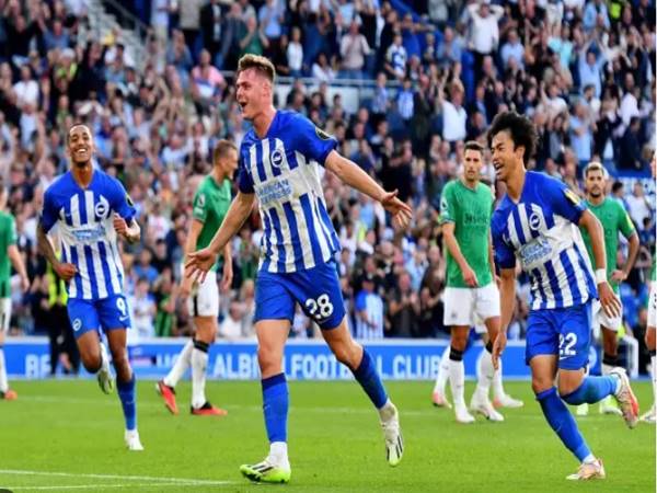 Nhận định Sheffield United vs Brighton, 22h00 ngày 27/1