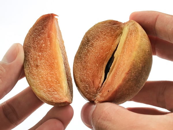 Nằm mơ thấy quả hồng xiêm đánh con gì may mắn dễ ăn