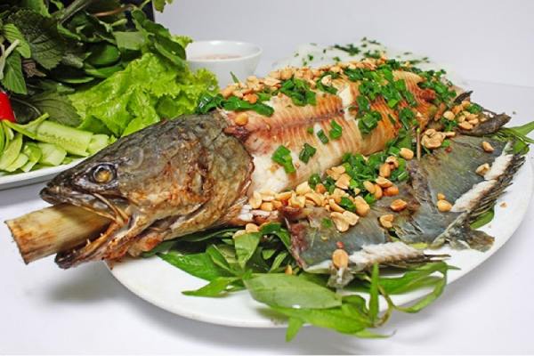 Tương lai qua điềm báo thấy ăn cá – Phúc lộc hay khó khăn?