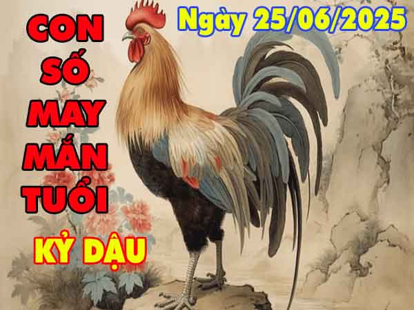 Con số may mắn tuổi Kỷ Dậu ngày 25/6/2025 thứ 4 hôm nay