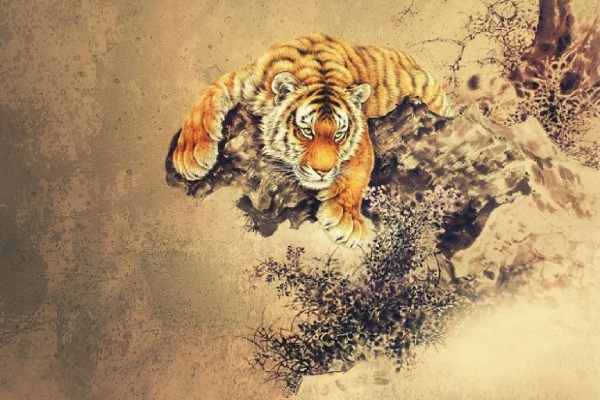 Giải mã con số phát tài tuổi Dần 20/6/2025 hôm nay