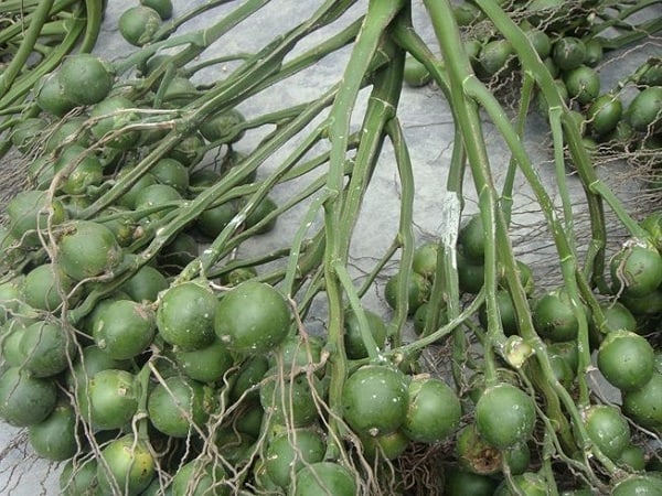 Giấc mơ thấy gánh cau đi bán