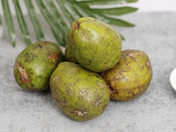 Chi tiết ý nghĩa giấc mơ thấy quả cóc báo điềm gì?