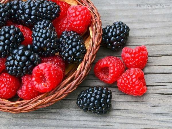 Nằm mơ thấy quả mâm xôi mang ý nghĩa gì?