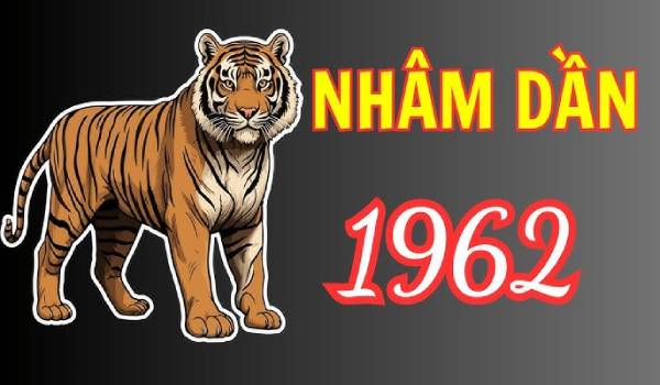 Luận giải con số may mắn của tuổi Nhâm Dần có thật sự mang lộc