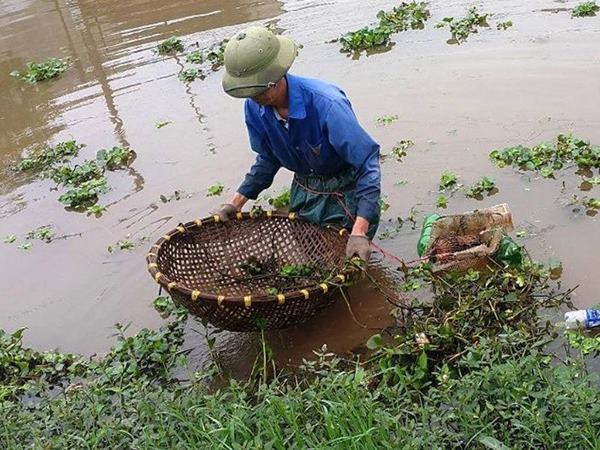 Nằm mơ thấy đi bắt cua đồng có điềm báo gì?