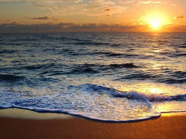 Nằm mộng thấy lướt sóng biển