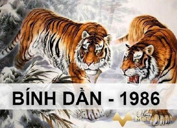 Gợi ý số phát tài tuổi Bính Dần 20/10/2025 hút tài lộc